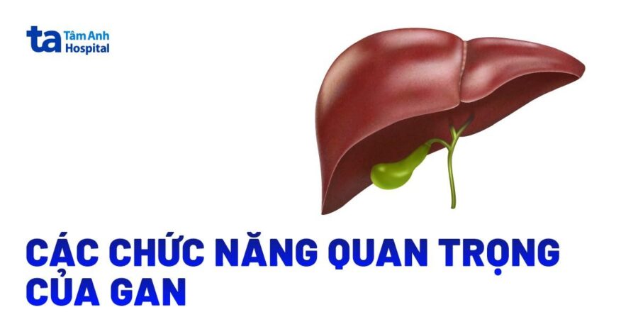 Hinh anh trung vit the hien luong protein doi dao