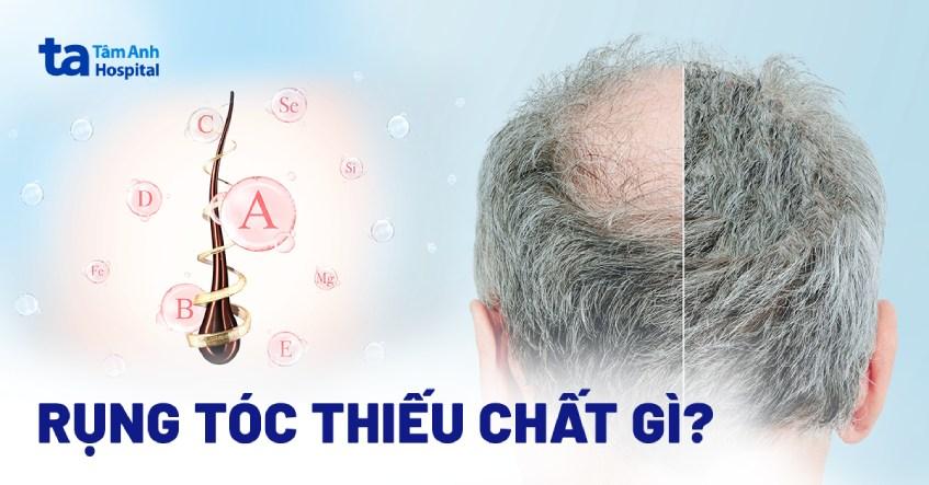Bữa ăn lành mạnh với bánh đa sợi và rau xanh cho chế độ dinh dưỡng