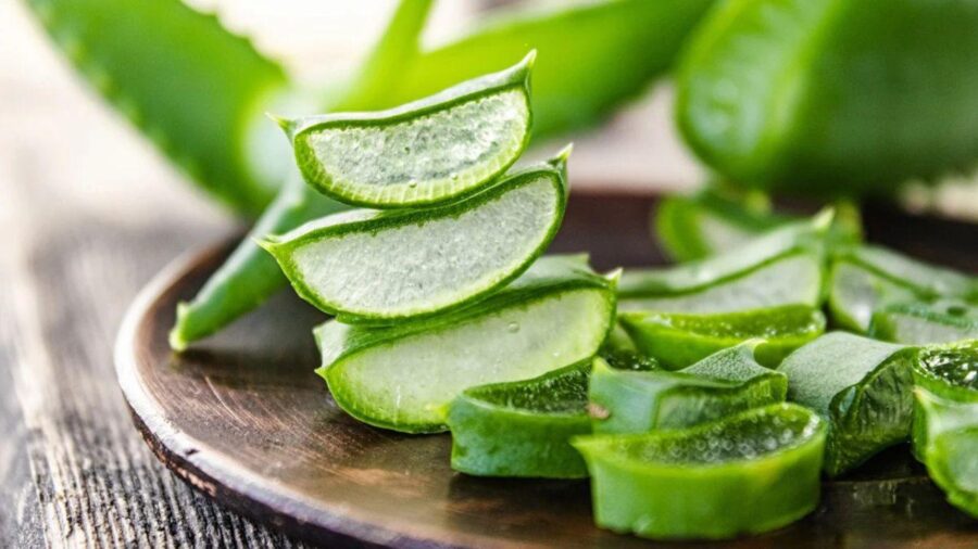 Gel nha đam tươi nguyên chất, ít calo, thích hợp cho chế độ ăn uống lành mạnh và giảm cân