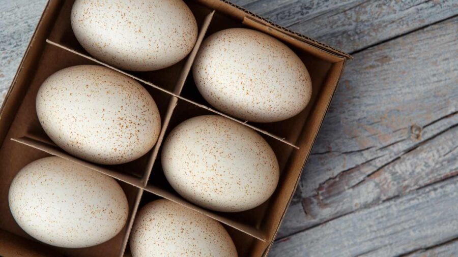 Quả hồng bao nhiêu calo cung cấp thông tin chi tiết về năng lượng và dưỡng chất trong từng loại quả hồng