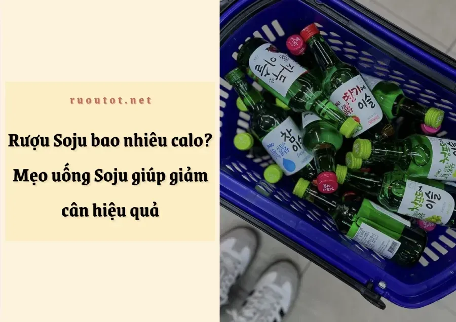 Lượng calo trong rượu soju theo nồng độ cồn và dung tích chai, giúp người đọc hiểu rõ hơn về giá trị dinh dưỡng